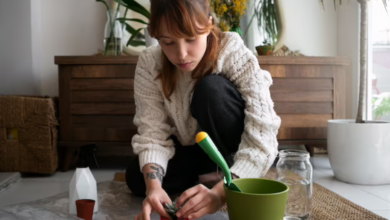 evde karınca nasıl yok edilir