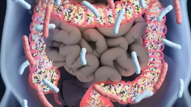 kıl kurdu belirtileri