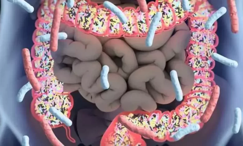 kıl kurdu belirtileri