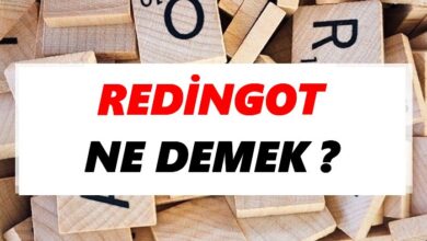 redingot ne demek