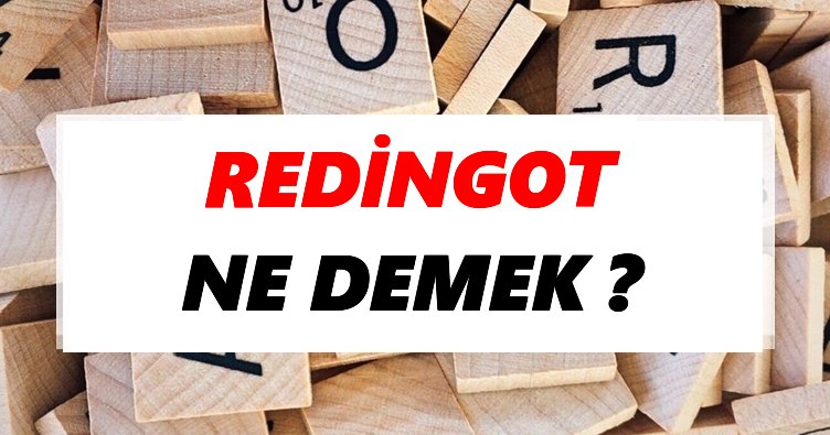 redingot ne demek