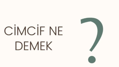 cimcif ne demek